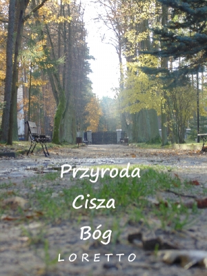DSC03045 - Kopia